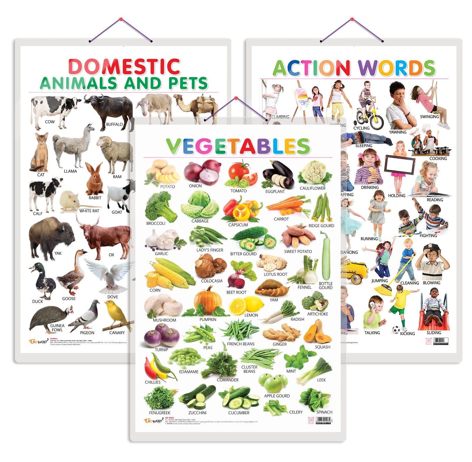     			Set of 3 Vegetables, Domestic Animals and Pets and Action Words Early Learning Educational Charts for Kids | 20"X30" inch |Non-Tearable and Waterproof | Double Sided Laminated | Perfect for Homeschooling, Kindergarten and Nursery Students