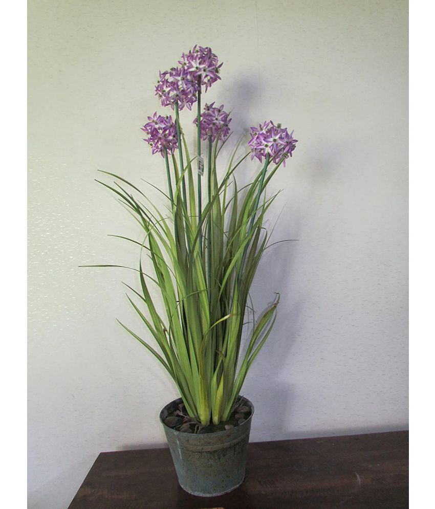     			Garden Art - Purple Evergreen Artificial Flower ( Pack of 1 )
