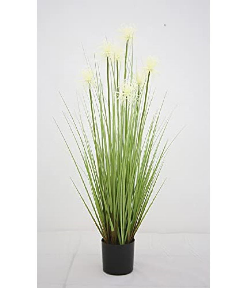     			Garden Art - White Evergreen Artificial Flowers With Pot ( Pack of 1 )