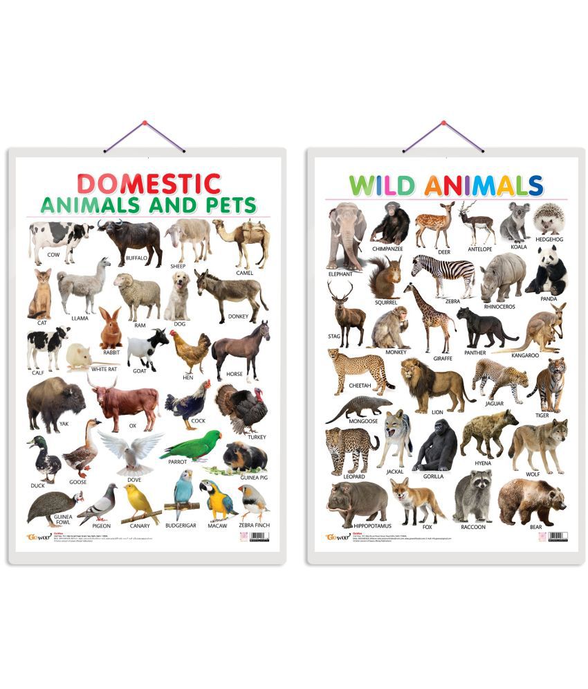     			Set of 2 Domestic Animals and Pets and Wild Animals Early Learning Educational Charts for Kids | 20"X30" inch |Non-Tearable and Waterproof | Double Sided Laminated | Perfect for Homeschooling, Kindergarten and Nursery Students