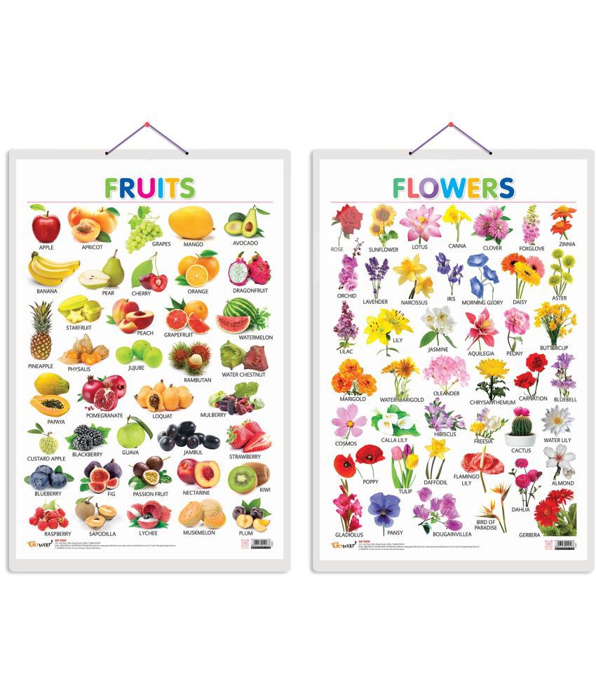     			Set of 2 Fruits and Flowers Early Learning Educational Charts for Kids | 20"X30" inch |Non-Tearable and Waterproof | Double Sided Laminated | Perfect for Homeschooling, Kindergarten and Nursery Students