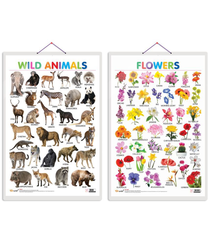     			Set of 2 Wild Animals and Flowers Early Learning Educational Charts for Kids | 20"X30" inch |Non-Tearable and Waterproof | Double Sided Laminated | Perfect for Homeschooling, Kindergarten and Nursery Students
