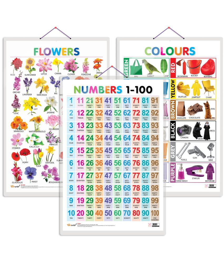     			Set of 3 Flowers, Colours and Numbers 1-100 Early Learning Educational Charts for Kids | 20"X30" inch |Non-Tearable and Waterproof | Double Sided Laminated | Perfect for Homeschooling, Kindergarten and Nursery Students