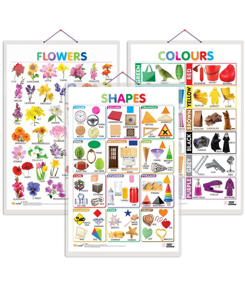     			Set of 3 Flowers, Colours and Shapes Early Learning Educational Charts for Kids | 20"X30" inch |Non-Tearable and Waterproof | Double Sided Laminated | Perfect for Homeschooling, Kindergarten and Nursery Students