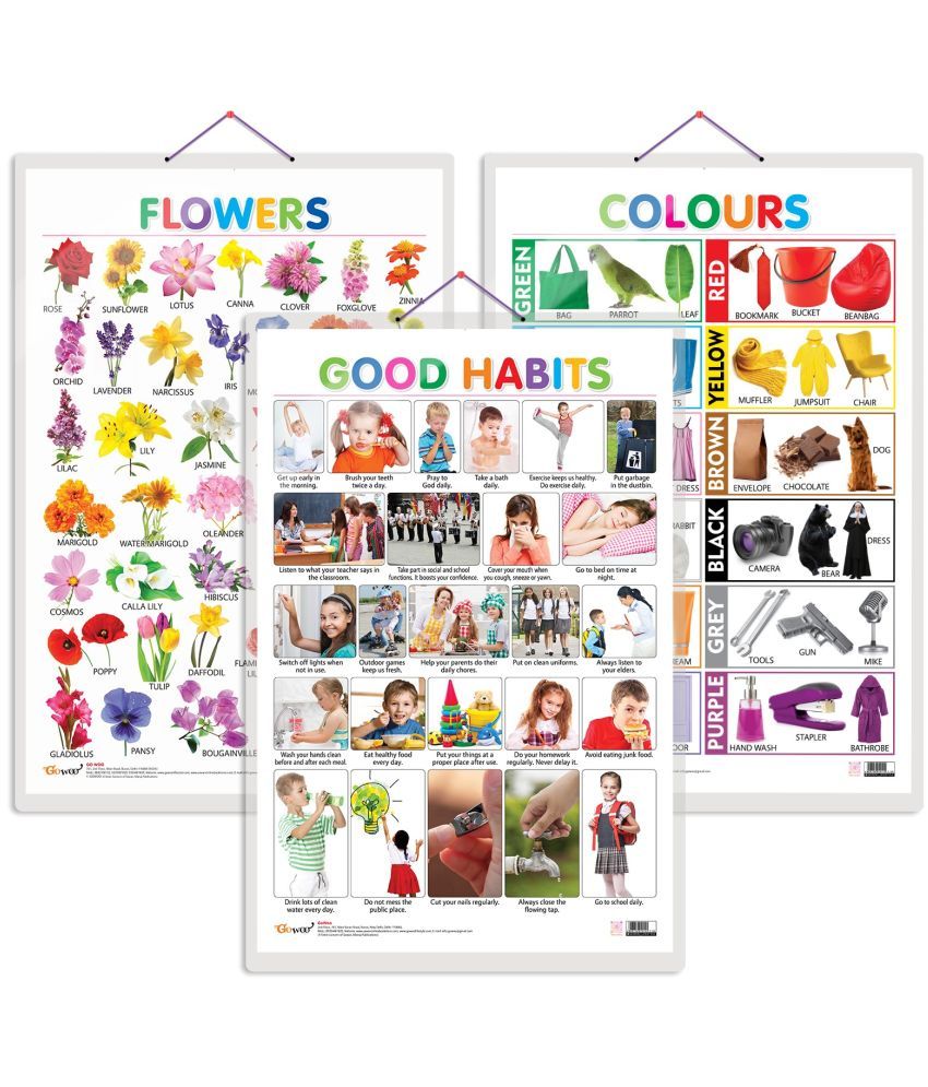     			Set of 3 Flowers, Colours and Good Habits Early Learning Educational Charts for Kids | 20"X30" inch |Non-Tearable and Waterproof | Double Sided Laminated | Perfect for Homeschooling, Kindergarten and Nursery Students