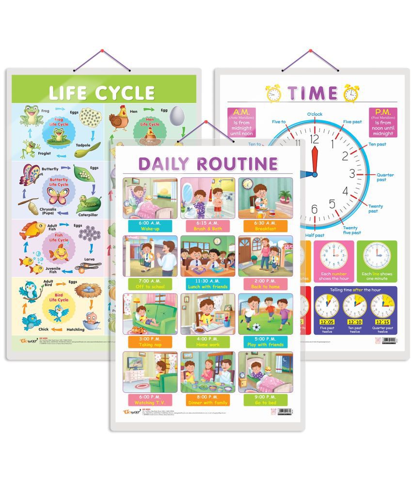     			Set of 3 Life Cycle, TIME and DAILY ROUTINE Early Learning Educational Charts for Kids | 20"X30" inch |Non-Tearable and Waterproof | Double Sided Laminated | Perfect for Homeschooling, Kindergarten and Nursery Students