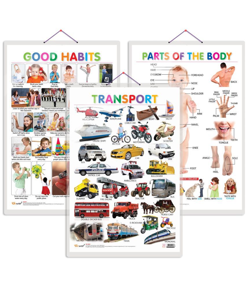     			Set of 3 Parts of the Body, Good Habits and Transport Chart for Kids | 20"X30" inch |Non-Tearable and Waterproof | Double Sided Laminated | Perfect for Homeschooling, Kindergarten and Nursery Students