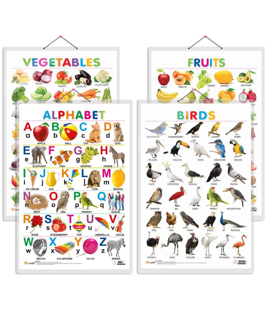     			Set of 4 Alphabet, Fruits, Vegetables and Birds Early Learning Educational Charts for Kids | 20"X30" inch |Non-Tearable and Waterproof | Double Sided Laminated | Perfect for Homeschooling, Kindergarten and Nursery Students