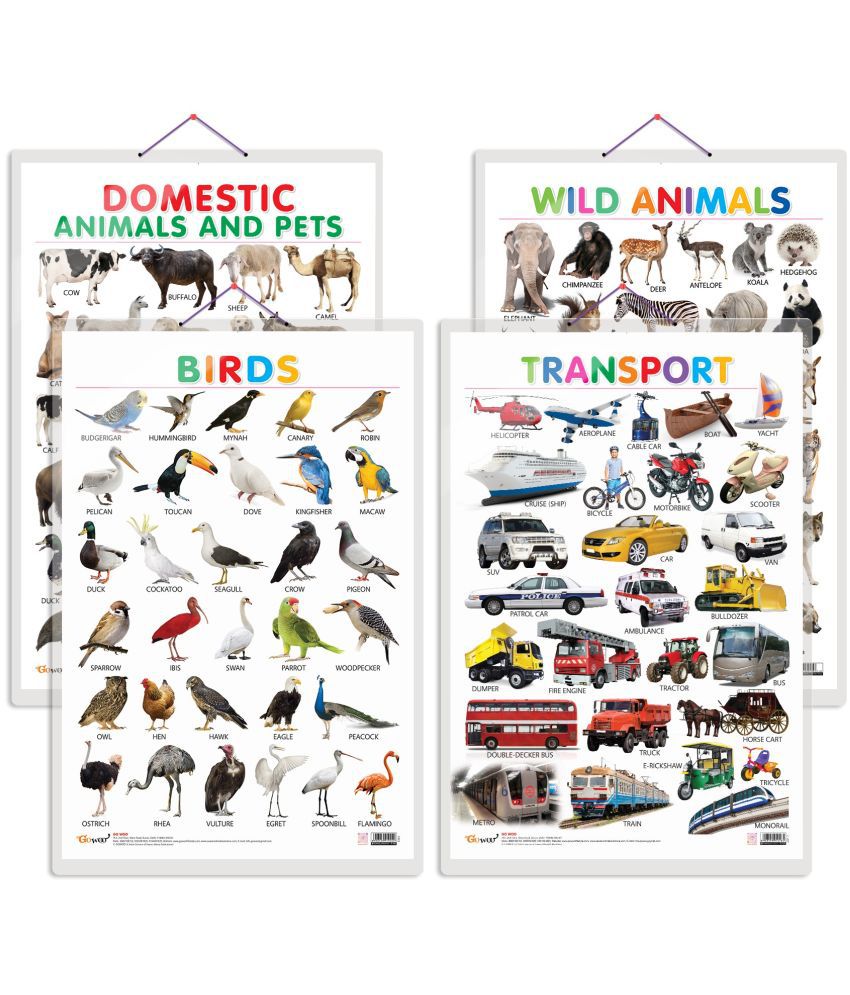     			Set of 4 Domestic Animals and Pets, Wild Animals, Birds and Transport Early Learning Educational Charts for Kids | 20"X30" inch |Non-Tearable and Waterproof | Double Sided Laminated | Perfect for Homeschooling, Kindergarten and Nursery Students