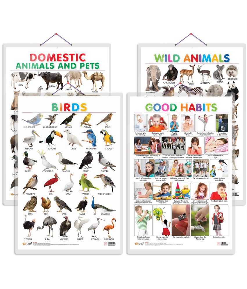     			Set of 4 Domestic Animals and Pets, Wild Animals, Birds and Good Habits Early Learning Educational Charts for Kids | 20"X30" inch |Non-Tearable and Waterproof | Double Sided Laminated | Perfect for Homeschooling, Kindergarten and Nursery Students