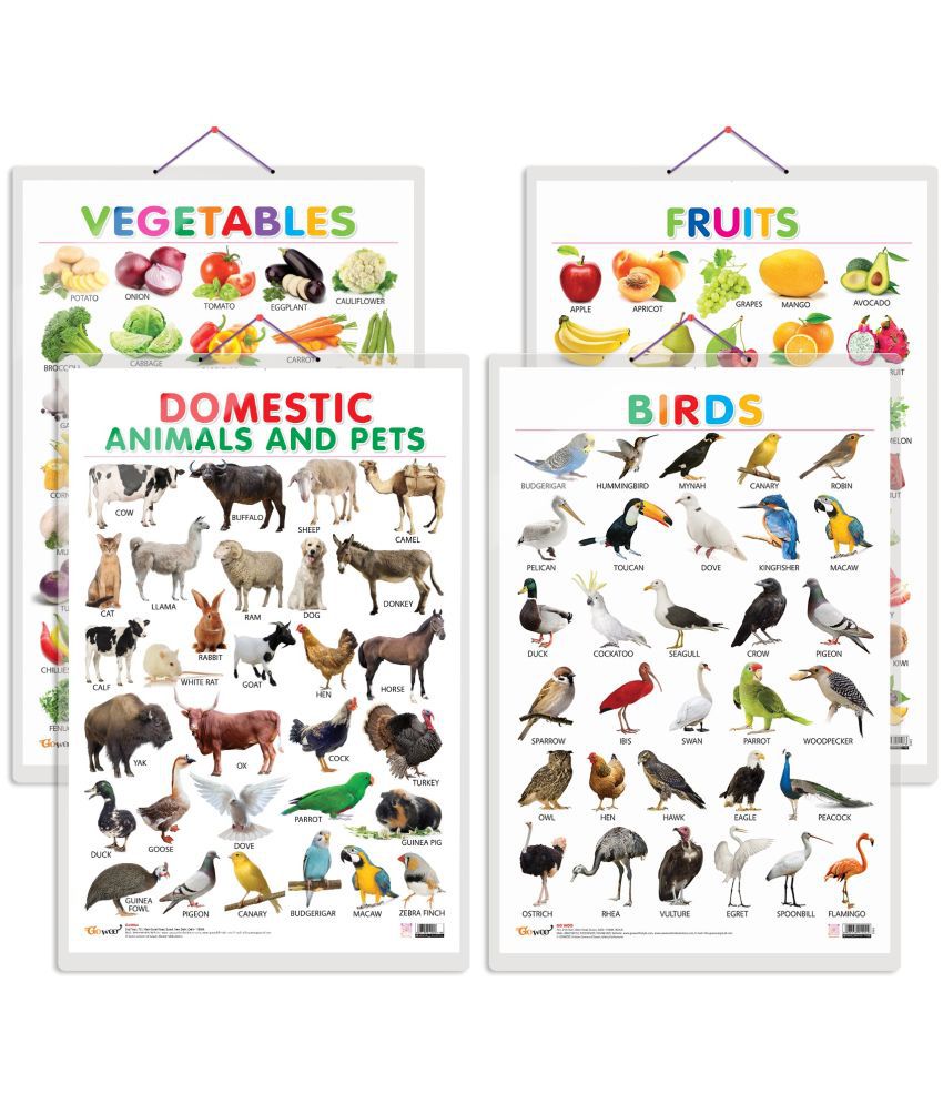     			Set of 4 Fruits, Vegetables, Domestic Animals and Pets and Birds Early Learning Educational Charts for Kids | 20"X30" inch |Non-Tearable and Waterproof | Double Sided Laminated | Perfect for Homeschooling, Kindergarten and Nursery Students