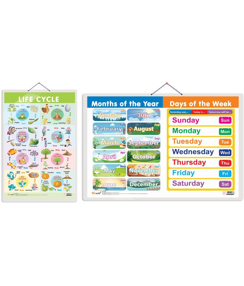     			Set of 2 Life Cycle and MONTHS OF THE YEAR AND DAYS OF THE WEEK Early Learning Educational Charts for Kids | 20"X30" inch |Non-Tearable and Waterproof | Double Sided Laminated | Perfect for Homeschooling, Kindergarten and Nursery Students