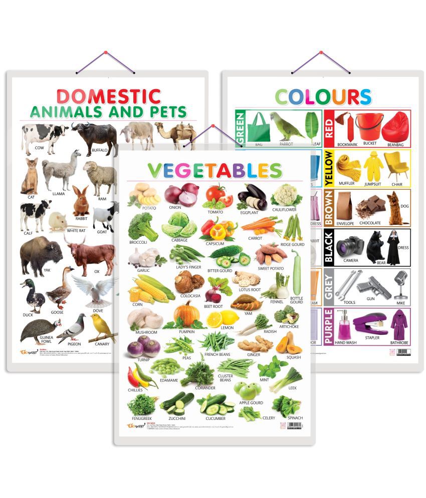     			Set of 3 Vegetables, Domestic Animals and Pets and Colours Early Learning Educational Charts for Kids | 20"X30" inch |Non-Tearable and Waterproof | Double Sided Laminated | Perfect for Homeschooling, Kindergarten and Nursery Students