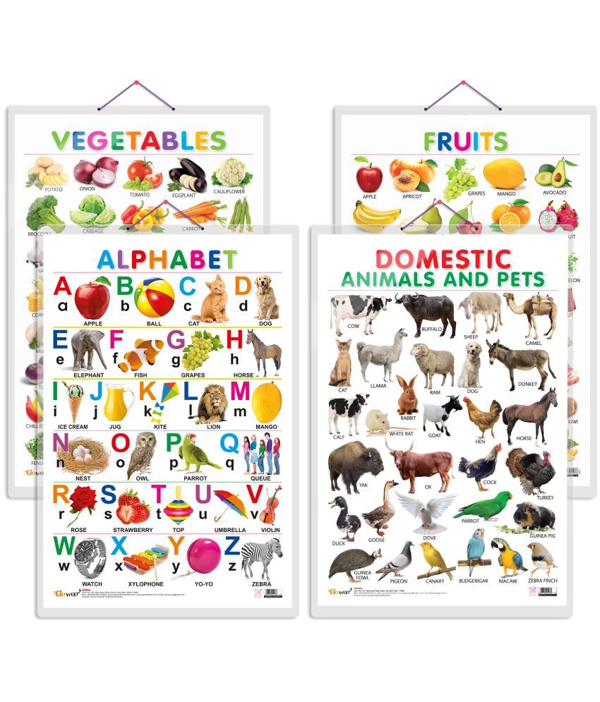     			Set of 4 Alphabet, Fruits, Vegetables, Domestic Animals and Pets Early Learning Educational Charts for Kids | 20"X30" inch |Non-Tearable and Waterproof | Double Sided Laminated | Perfect for Homeschooling, Kindergarten and Nursery Students