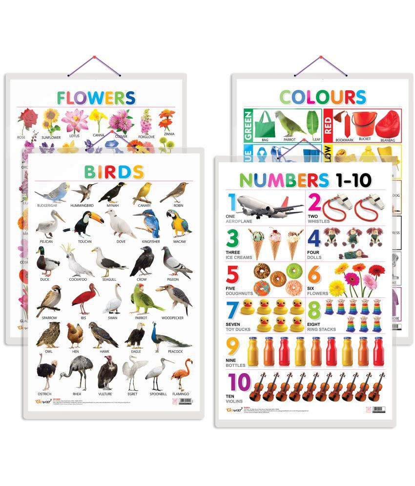     			Set of 4 Birds, Flowers, Colours and Numbers 1-10 Early Learning Educational Charts for Kids | 20"X30" inch |Non-Tearable and Waterproof | Double Sided Laminated | Perfect for Homeschooling, Kindergarten and Nursery Students
