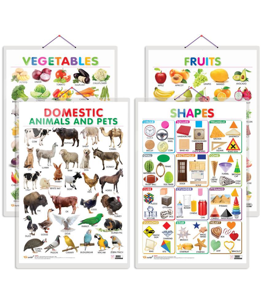     			Set of 4 Fruits, Vegetables, Domestic Animals and Pets and Shapes Early Learning Educational Charts for Kids | 20"X30" inch |Non-Tearable and Waterproof | Double Sided Laminated | Perfect for Homeschooling, Kindergarten and Nursery Students