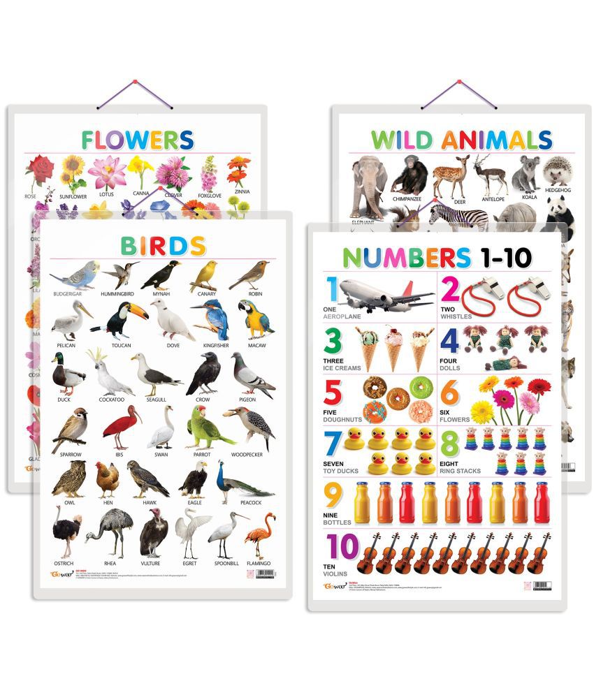     			Set of 4 Wild Animals, Birds, Flowers and Numbers 1-10 Early Learning Educational Charts for Kids | 20"X30" inch |Non-Tearable and Waterproof | Double Sided Laminated | Perfect for Homeschooling, Kindergarten and Nursery Students