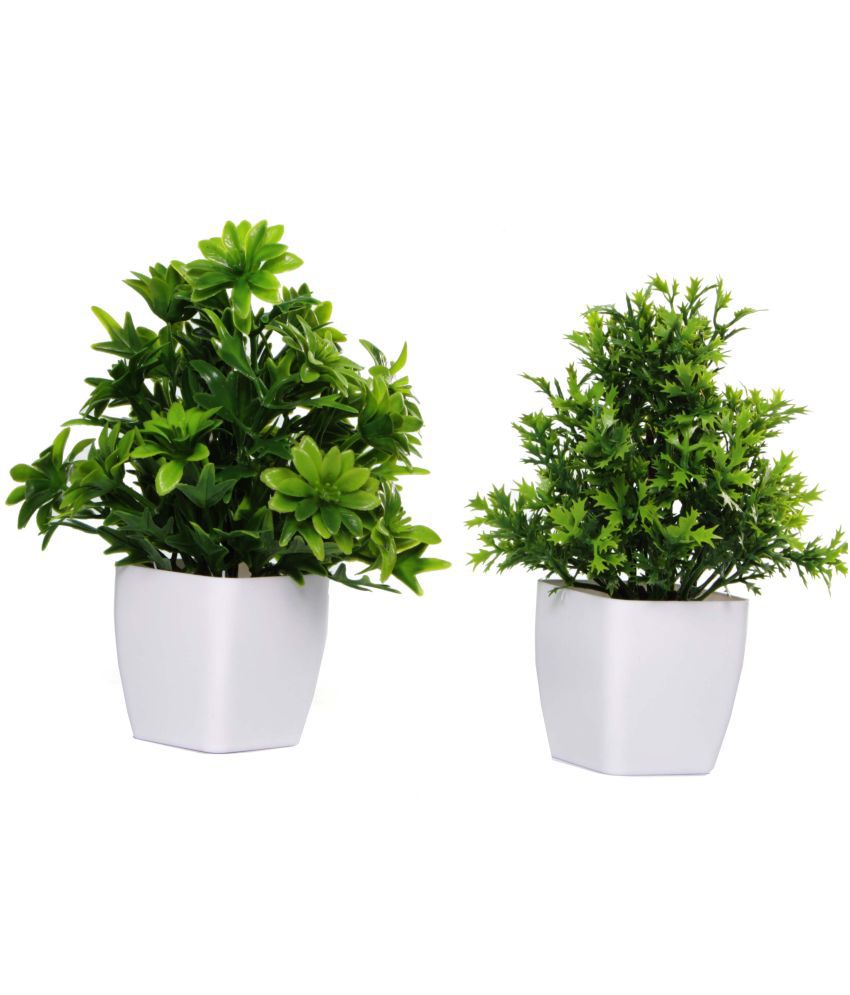     			CHAUDHARY FLOWER - Green Gardenia Artificial Bonsai ( Pack of 2 )