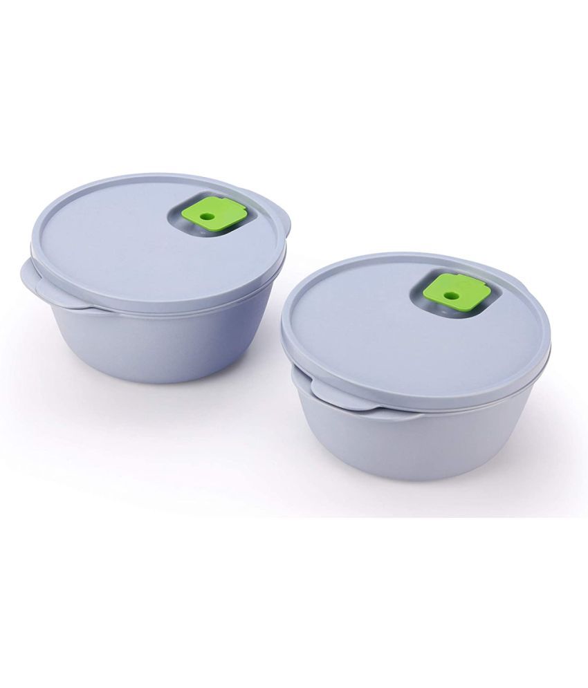     			Oliveware Plastic Blue Food Container ( Set of 2 )