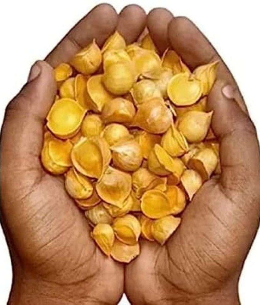     			MYGODGIFT Kashmiri LEHSUN,KASMIRI LASSAN | Indian Mountain Single Clove Garlic 100 gm