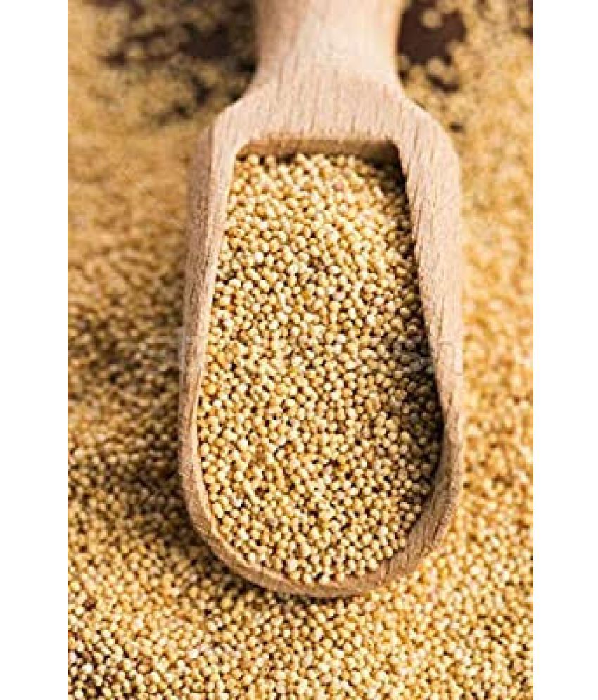     			MYGODGIFT Poppy Seed Gold / Khus Khus/White Poppy Seeds / Poppy Seeds for Eating 100 gm