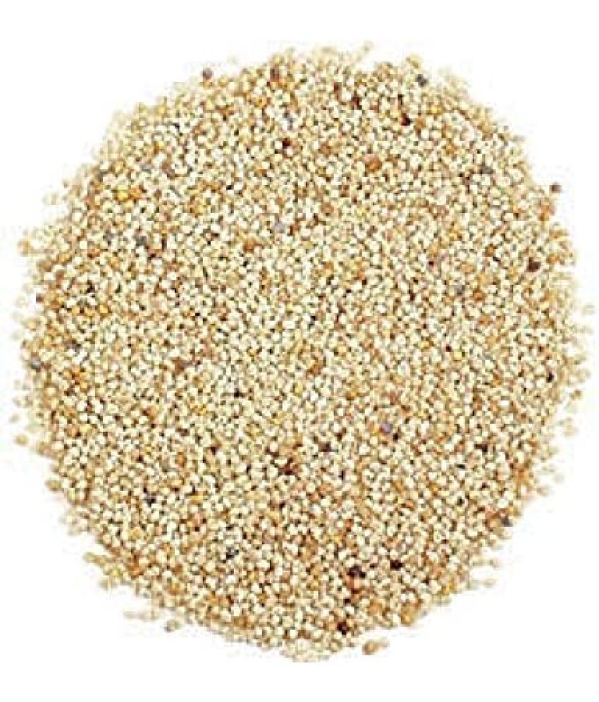     			MYGODGIFT Poppy Seed Gold / Khus Khus/White Poppy Seeds / Poppy Seeds for Eating 50 gm