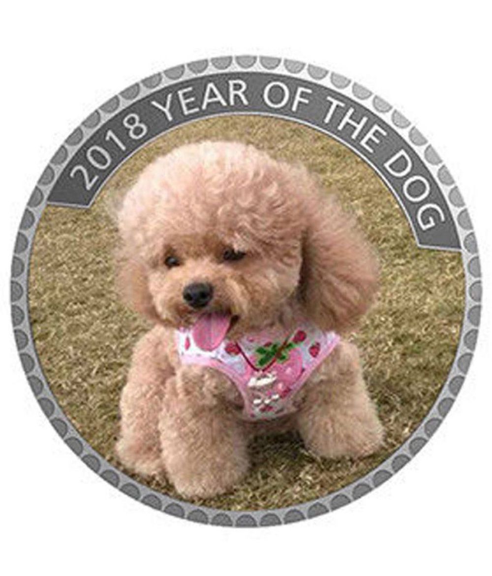     			skonline - Classic Puppy Year of Dog Australia 30gm 1 Numismatic Coins