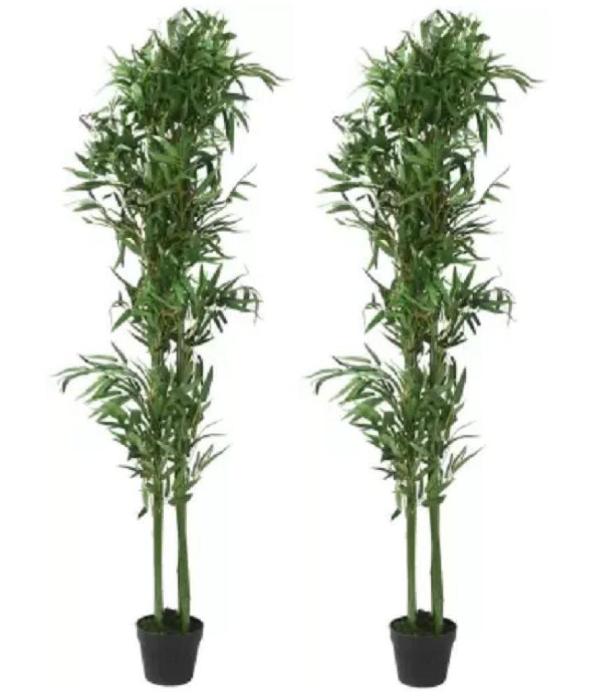     			Green plant indoor - Green Wild Artificial Tree ( Pack of 2 )