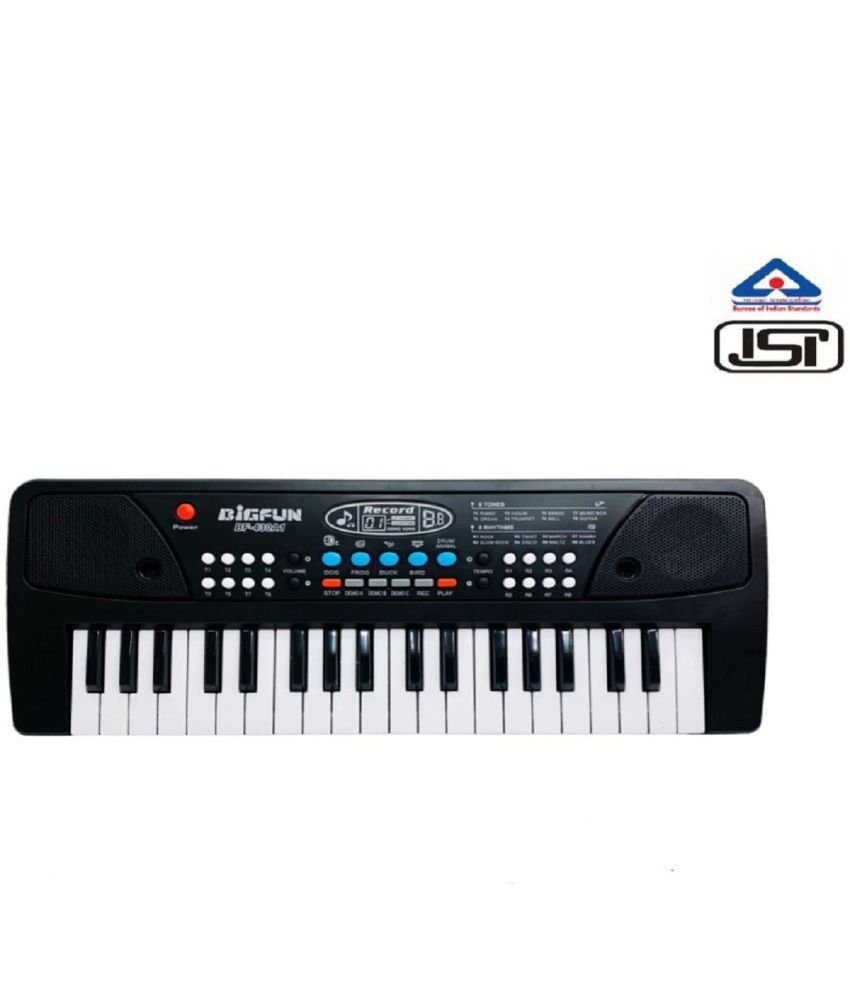     			TOY KINGDOM Portable Electronic Piano Keyboards For Kids & Adult with Microphone Musical Toys