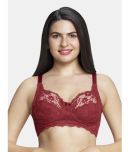 Amante Cotton Lightly Padded Women's Plunge Bra ( Maroon )