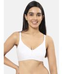 Amante Cotton Non Padded Women's Everyday Bra ( White )