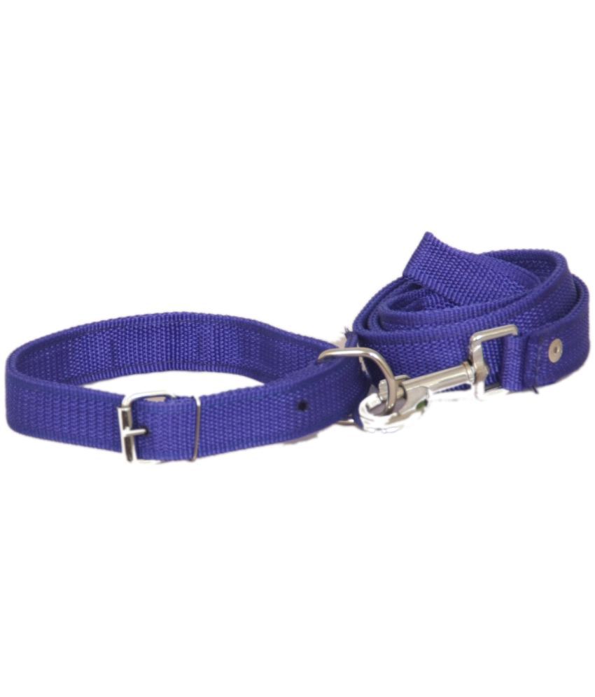     			Pet Club51 - Blue Collar ( Medium )