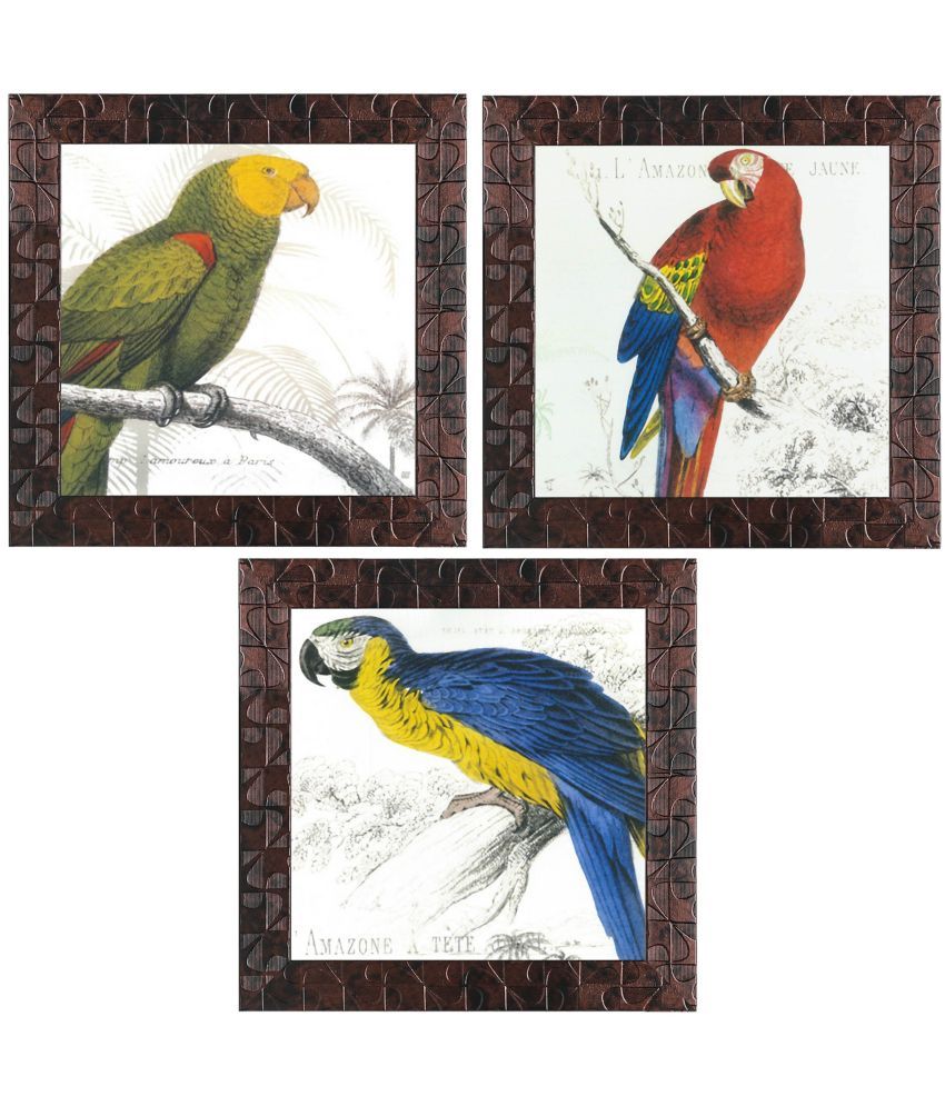     			Indianara - Bird Painting With Frame