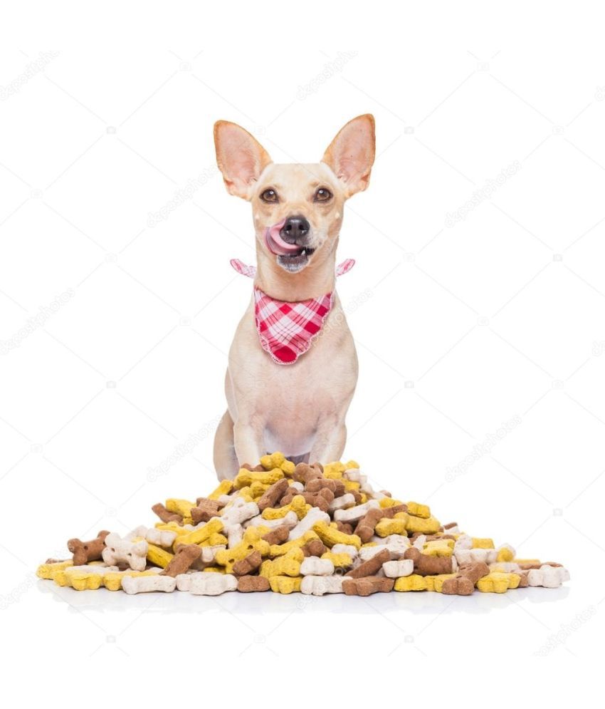     			super chain Treat Dog Food Chicken & Veg for All ( 1 Kg )