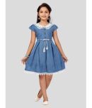 Aarika Denim Fit And Flare Dress For Girls ( Pack of 1 , Blue )