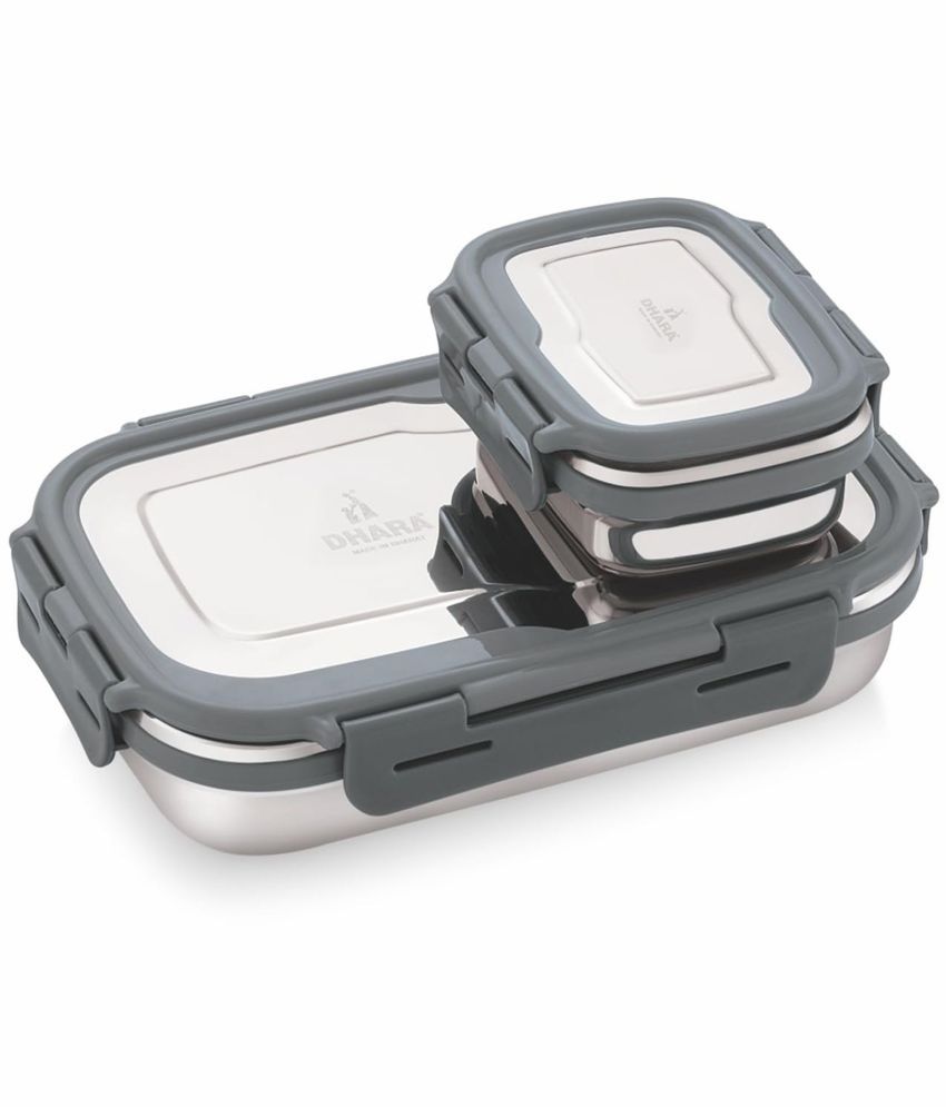     			Dhara Stainless Steel Blaze Stainless Steel Insulated Lunch Box 2 - Container ( Pack of 1 )
