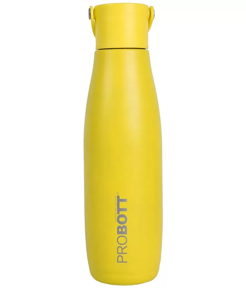 Standard Stainless Steel Milton New Crown Thermosteel Hot or Cold Water  Bottle, Sipper