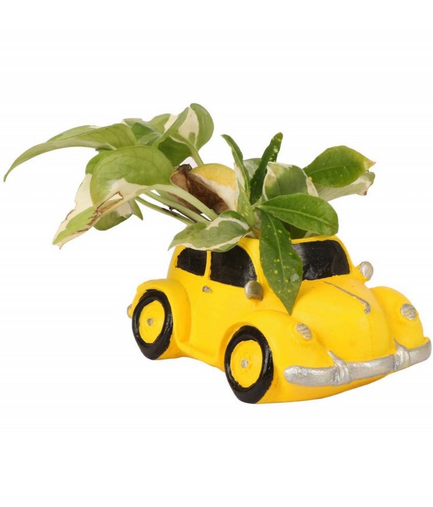     			TINUMS Yellow Resin Desk Planters ( Pack of 1 )