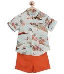 Nauti Nati Multicolor Cotton Baby Boy Shirt & Shorts ( Pack of 1 )