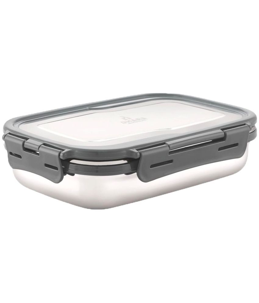     			Dhara Stainless Steel Blaze Stainless Steel Lunch Box 1 - Container ( Pack of 1 )