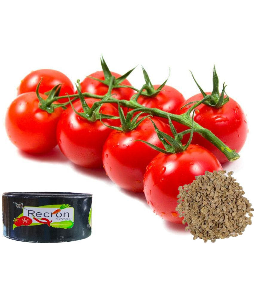     			Recron Seeds Cherry Tomato Vegetable ( 50 Seeds )