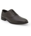 Red Tape Brown Men's Oxford Formal Shoes