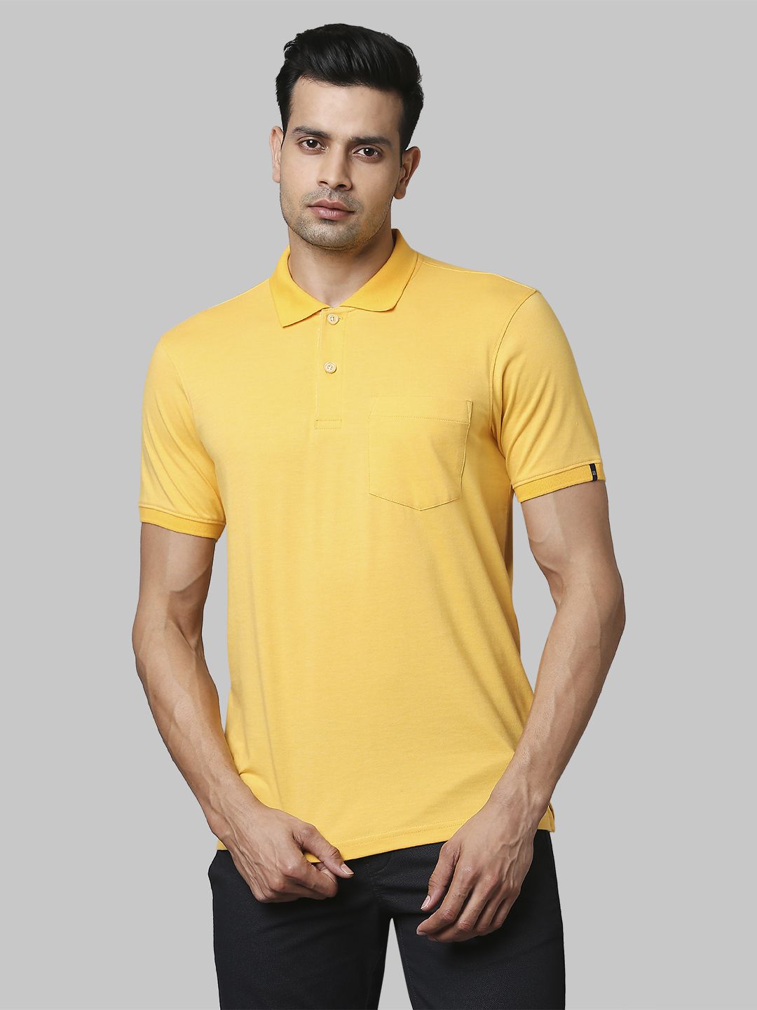     			Raymond Cotton Regular Fit Solid Half Sleeves Men's T-Shirt - Yellow ( Pack of 1 )