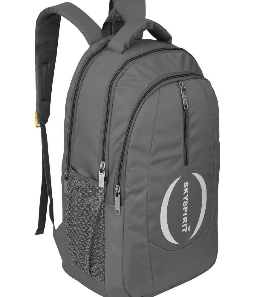     			Sky spirit Grey Polyester Backpack ( 40 Ltrs )