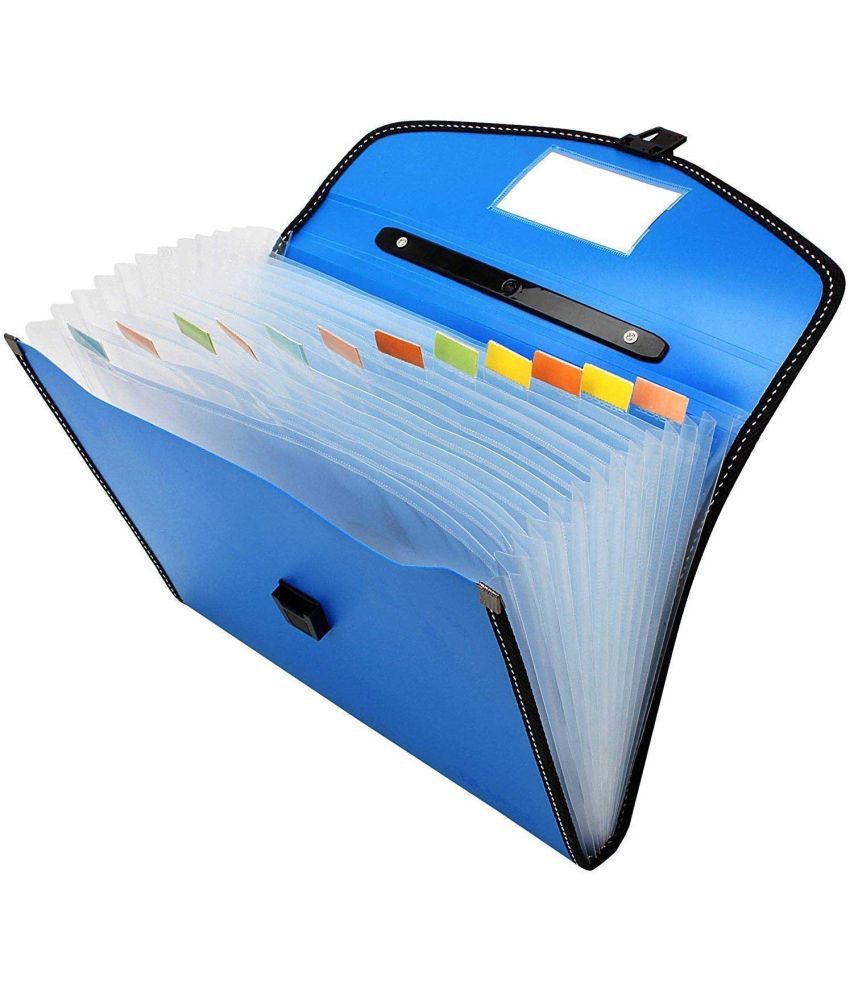     			Bluedeal Blue File Folder ( Pack of 1 )