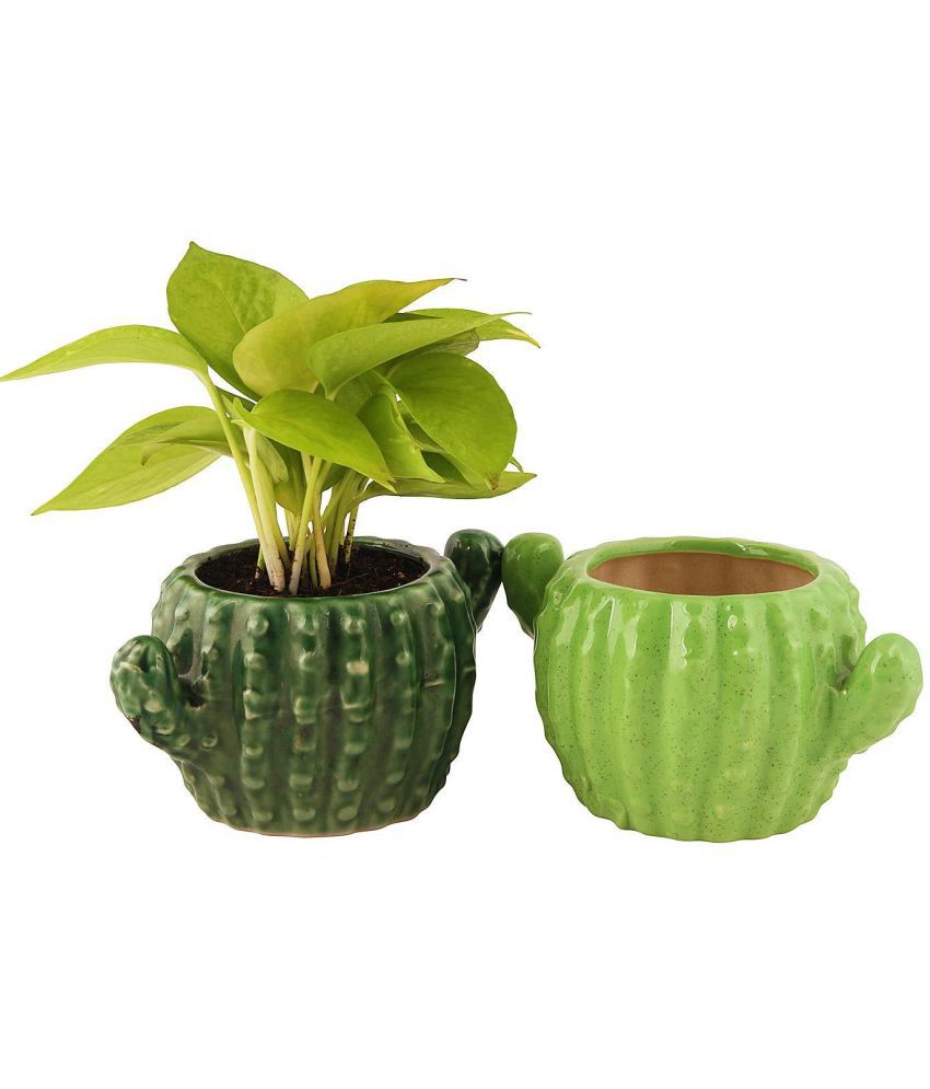     			Leafy Tales Green Ceramic Ceramic Planters ( Pack of 2 )