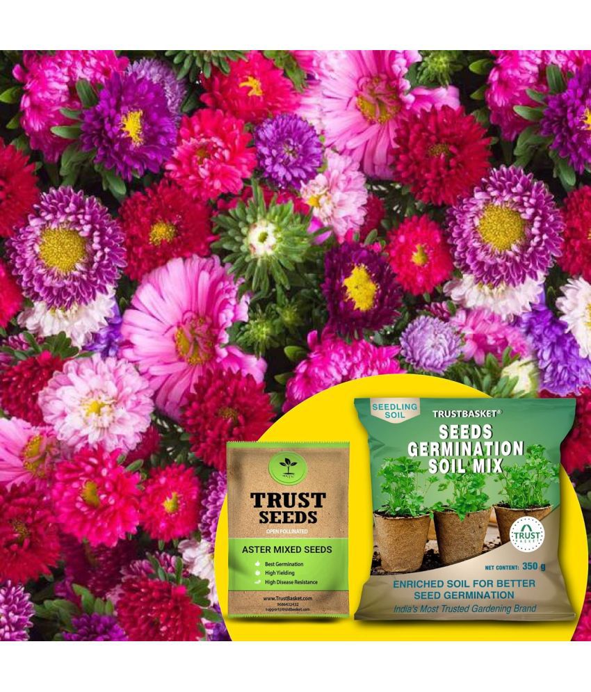     			TrustBasket Aster Mixed Seeds with Free Germination Potting Soil Mix OP (20 Seeds)