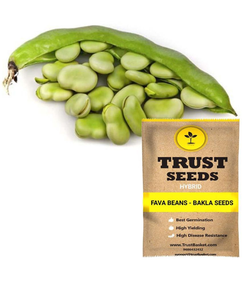     			TrustBasket Fava Beans - Bakla Seeds Hybrid (15 Seeds)