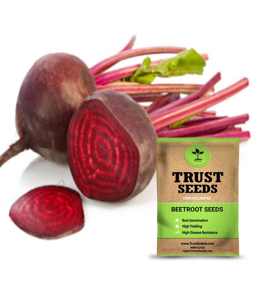     			TrustBasket Beetroot Seeds Open Pollinated (15 Seeds)