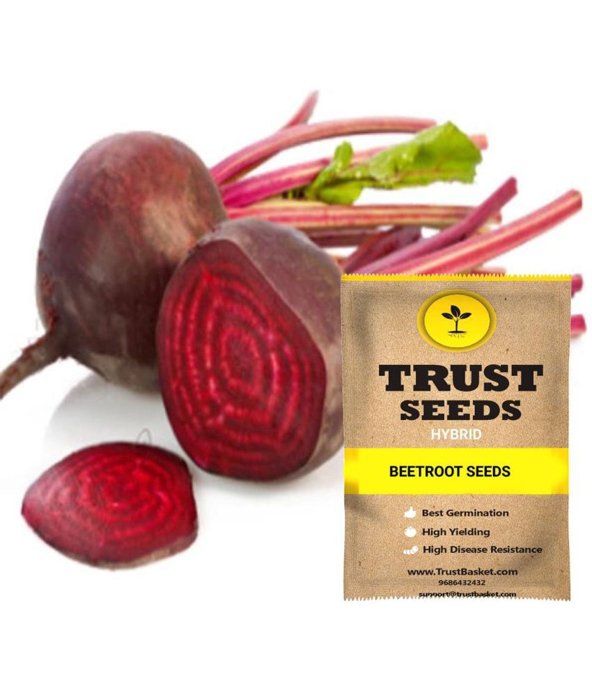     			TrustBasket Beetroot Vegetable Seeds Hybrid (15 Seeds)